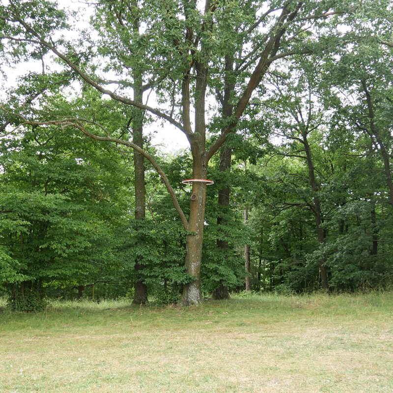 b4_P1180470