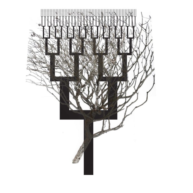 antinomeanalogien Sito